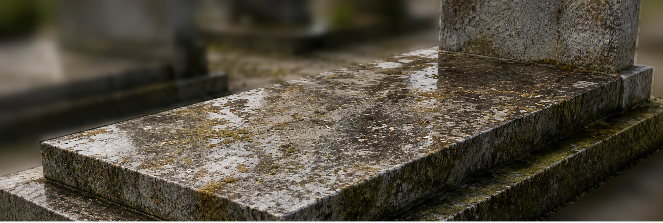 Tombe avant nettoyage